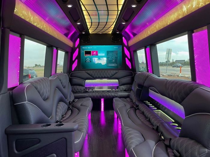 Sprinter limo lounge with TV – Cripple Creek limo service