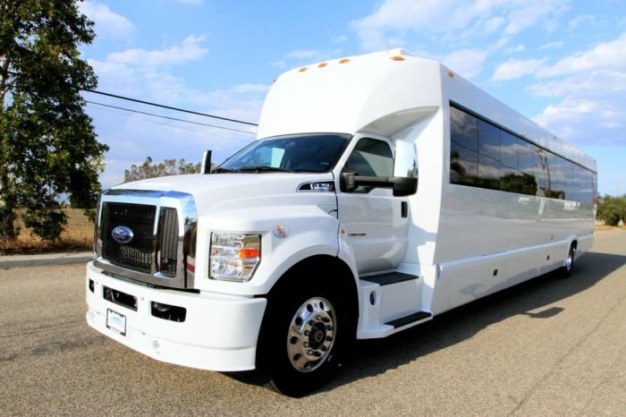 White party bus – Cripple Creek limo service
