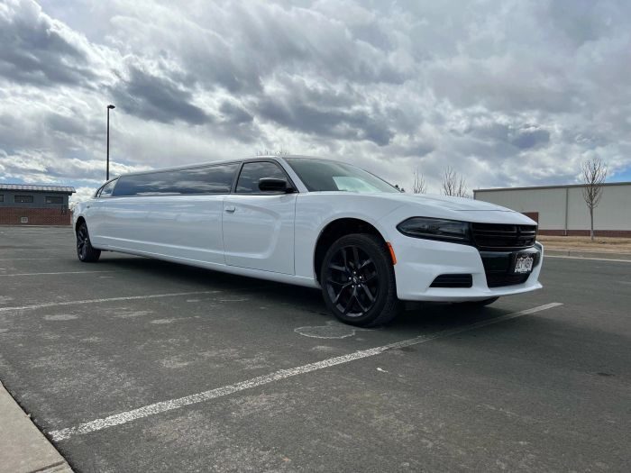 White stretch limo – Cripple Creek limo service